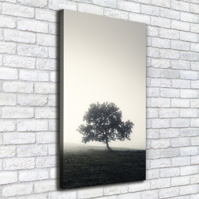 Large canvas wall art Tree in the fog