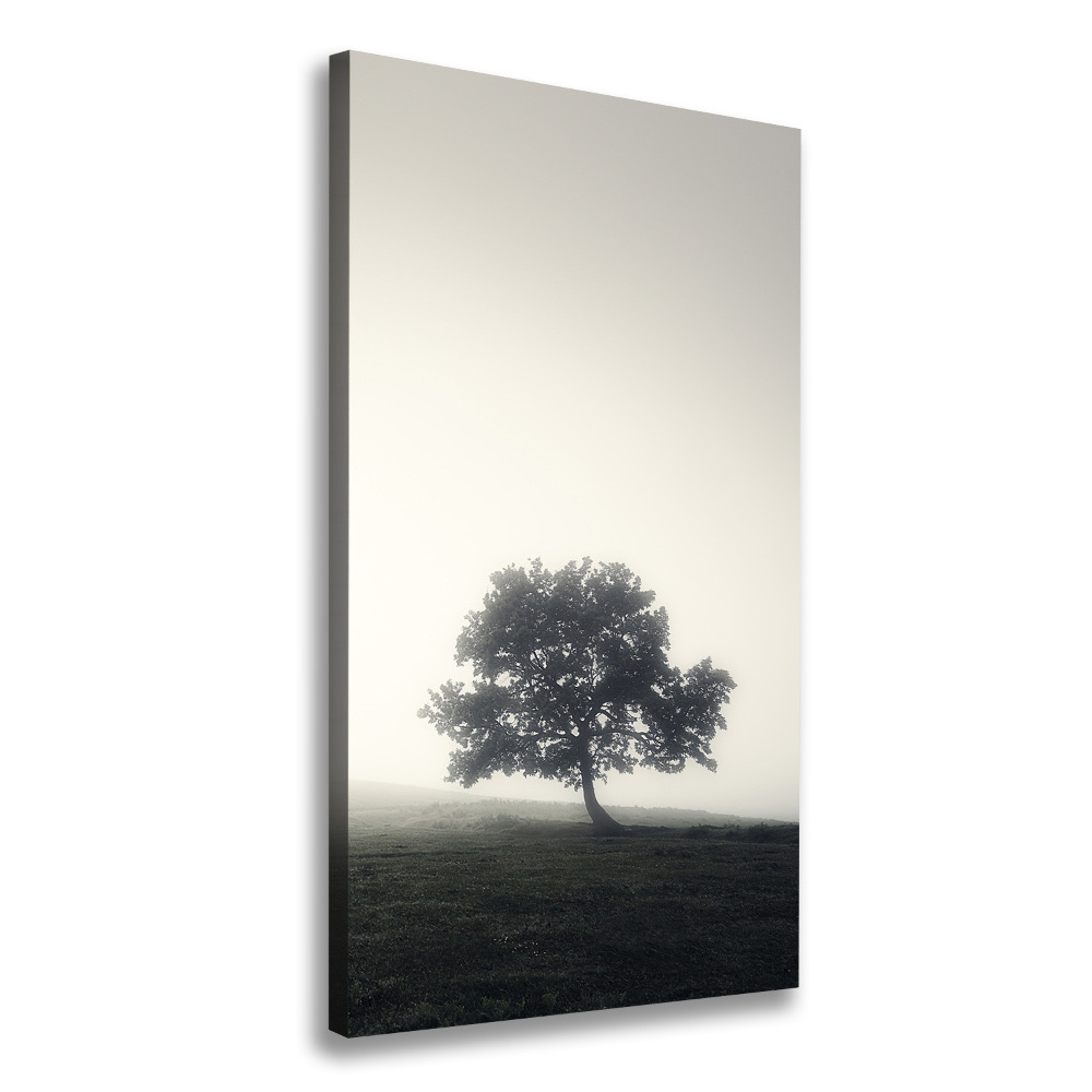 Large canvas wall art Tree in the fog