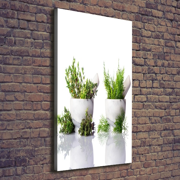 Canvas wall art Mortars and herbs