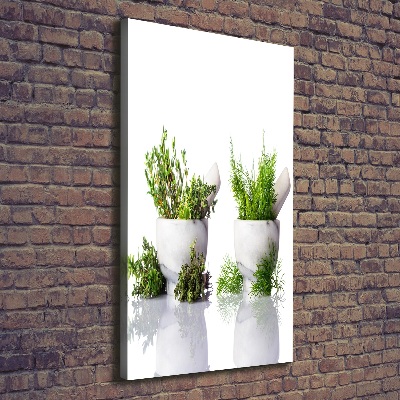 Canvas wall art Mortars and herbs