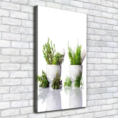 Canvas wall art Mortars and herbs