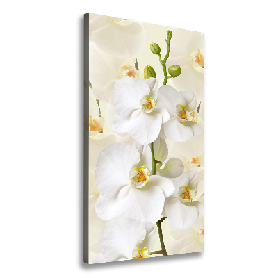 Canvas wall art White orchid