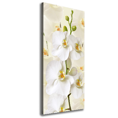 Canvas wall art White orchid