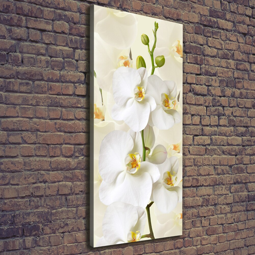 Canvas wall art White orchid