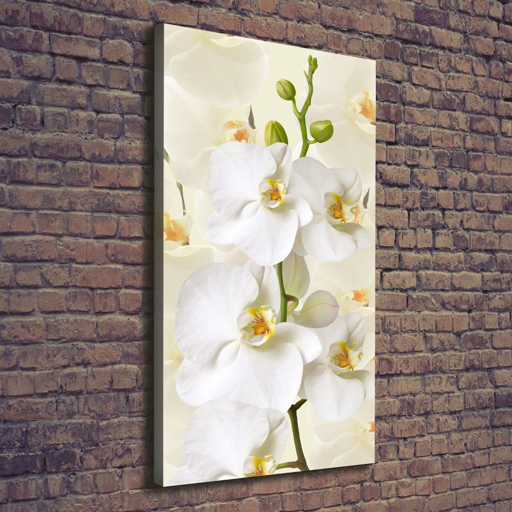 Canvas wall art White orchid