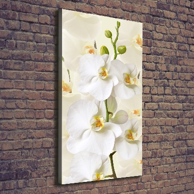 Canvas wall art White orchid