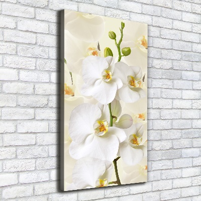 Canvas wall art White orchid