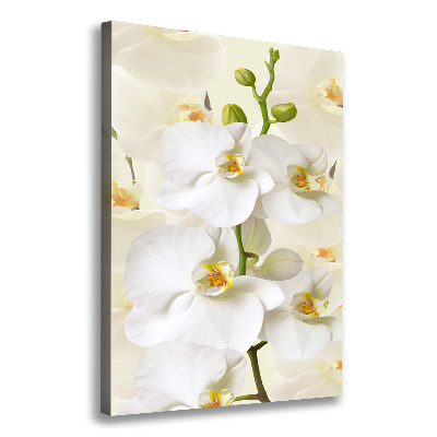 Canvas wall art White orchid