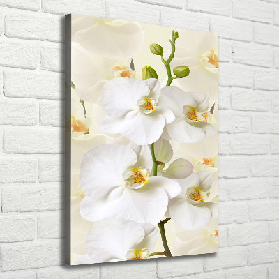 Canvas wall art White orchid