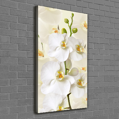 Canvas wall art White orchid