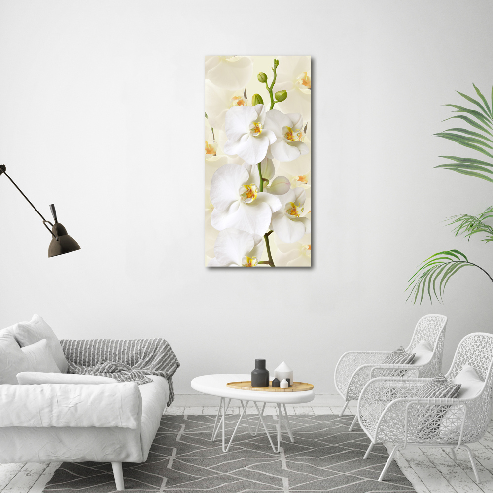 Canvas wall art White orchid