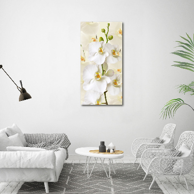 Canvas wall art White orchid