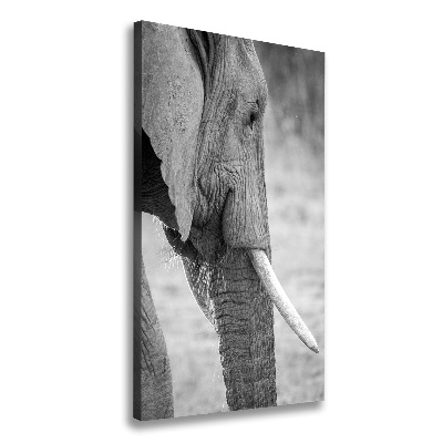 Canvas wall art Elephant