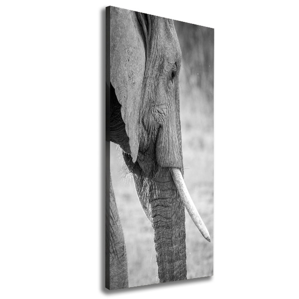 Canvas wall art Elephant