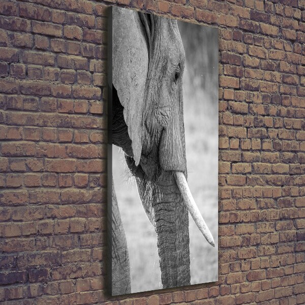 Canvas wall art Elephant