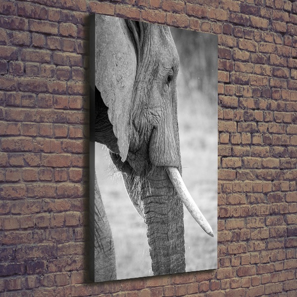 Canvas wall art Elephant