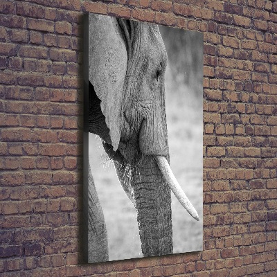 Canvas wall art Elephant