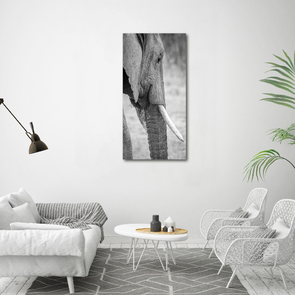 Canvas wall art Elephant