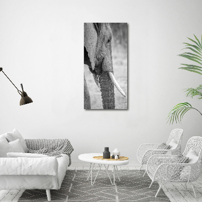 Canvas wall art Elephant