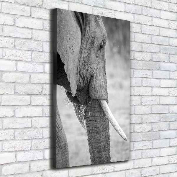 Canvas wall art Elephant