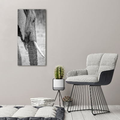 Canvas wall art Elephant