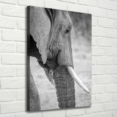 Canvas wall art Elephant