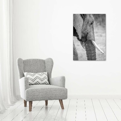 Canvas wall art Elephant