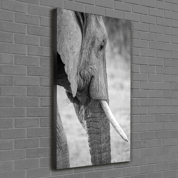 Canvas wall art Elephant