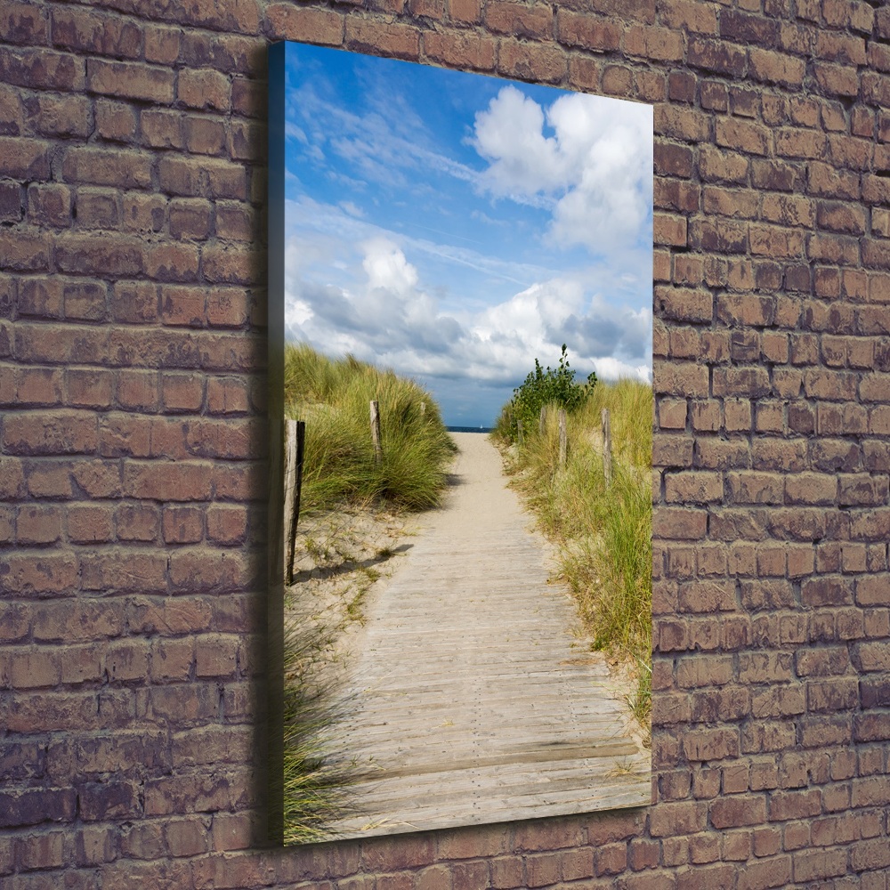 Wall art canvas large Path to the beach