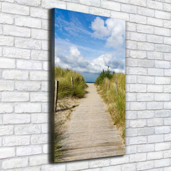 Wall art canvas large Path to the beach