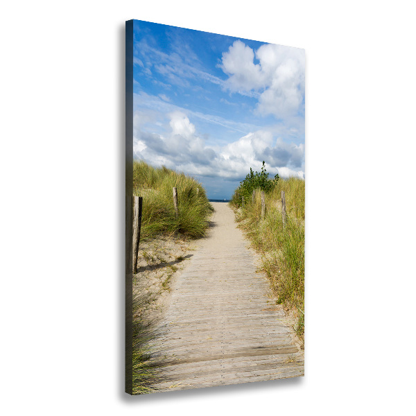 Wall art canvas large Path to the beach