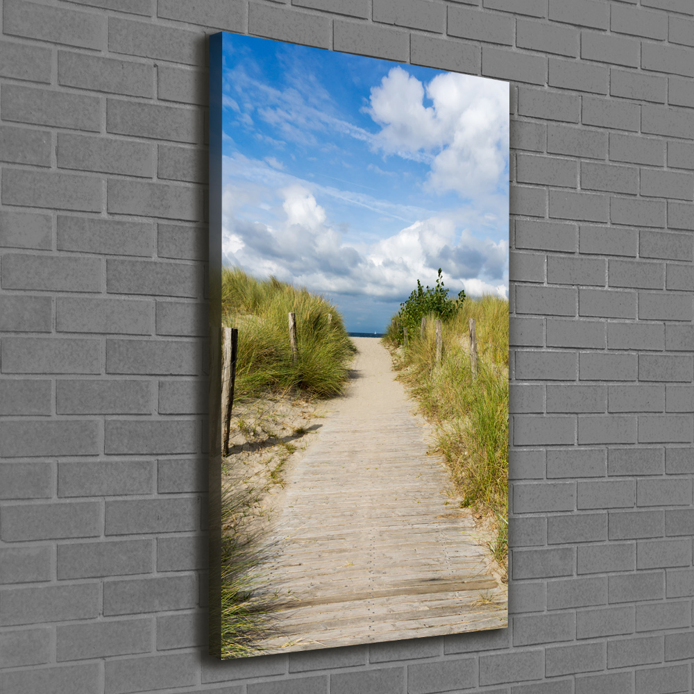 Wall art canvas large Path to the beach