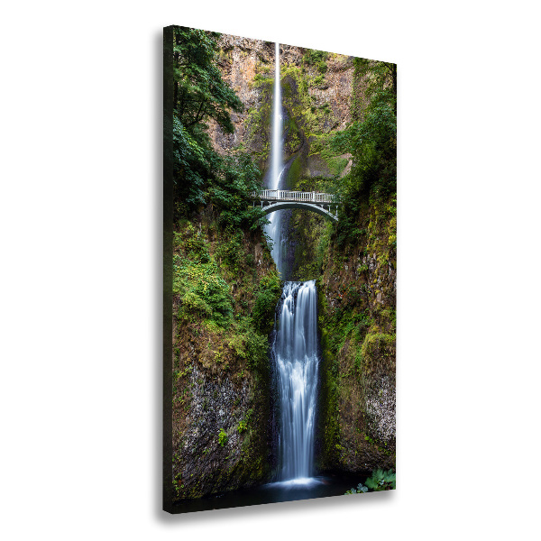 Canvas wall art Waterfall