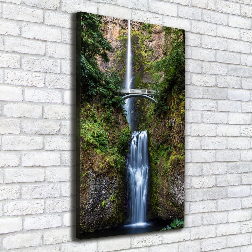 Canvas wall art Waterfall