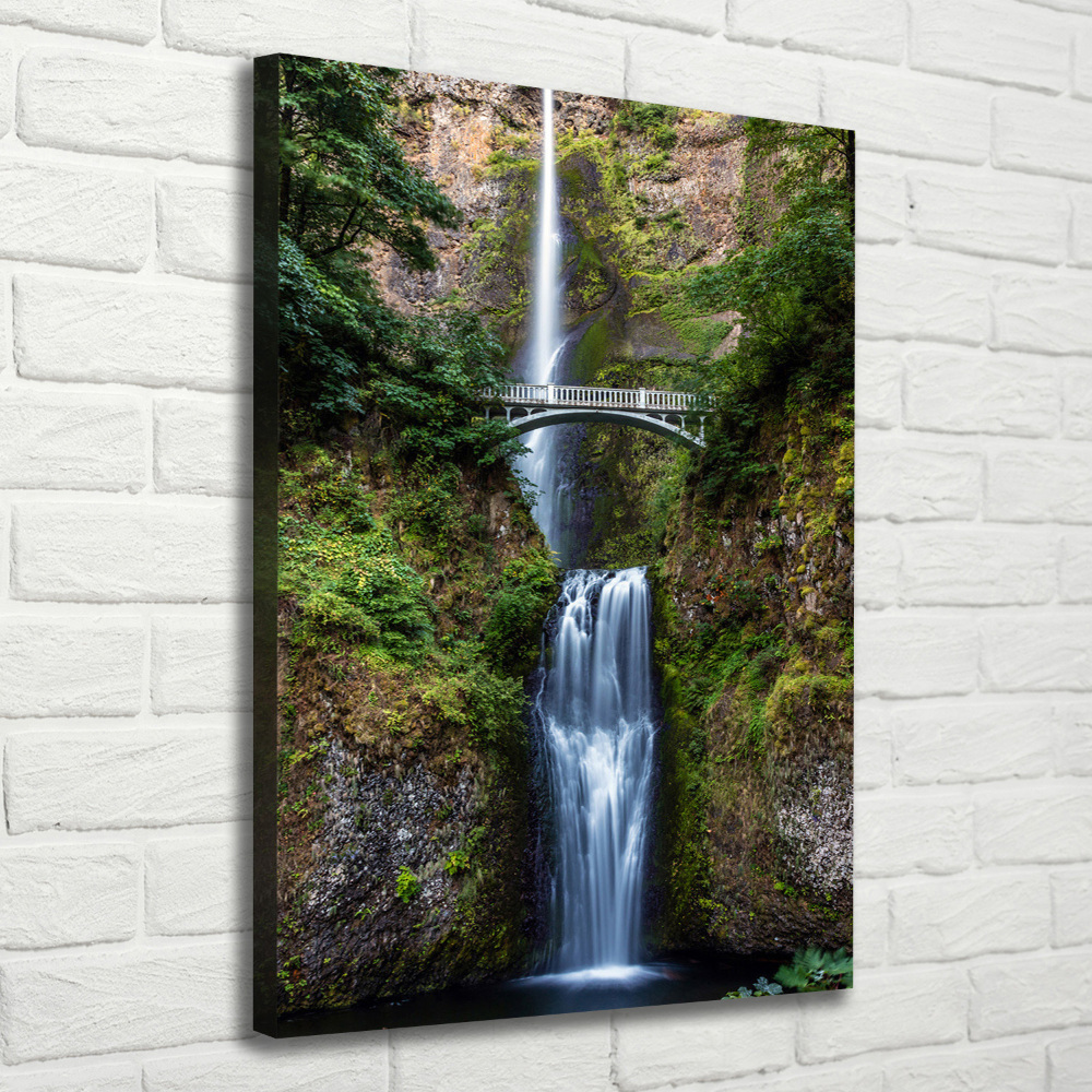 Canvas wall art Waterfall