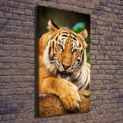 Canvas wall art Bengal tiger