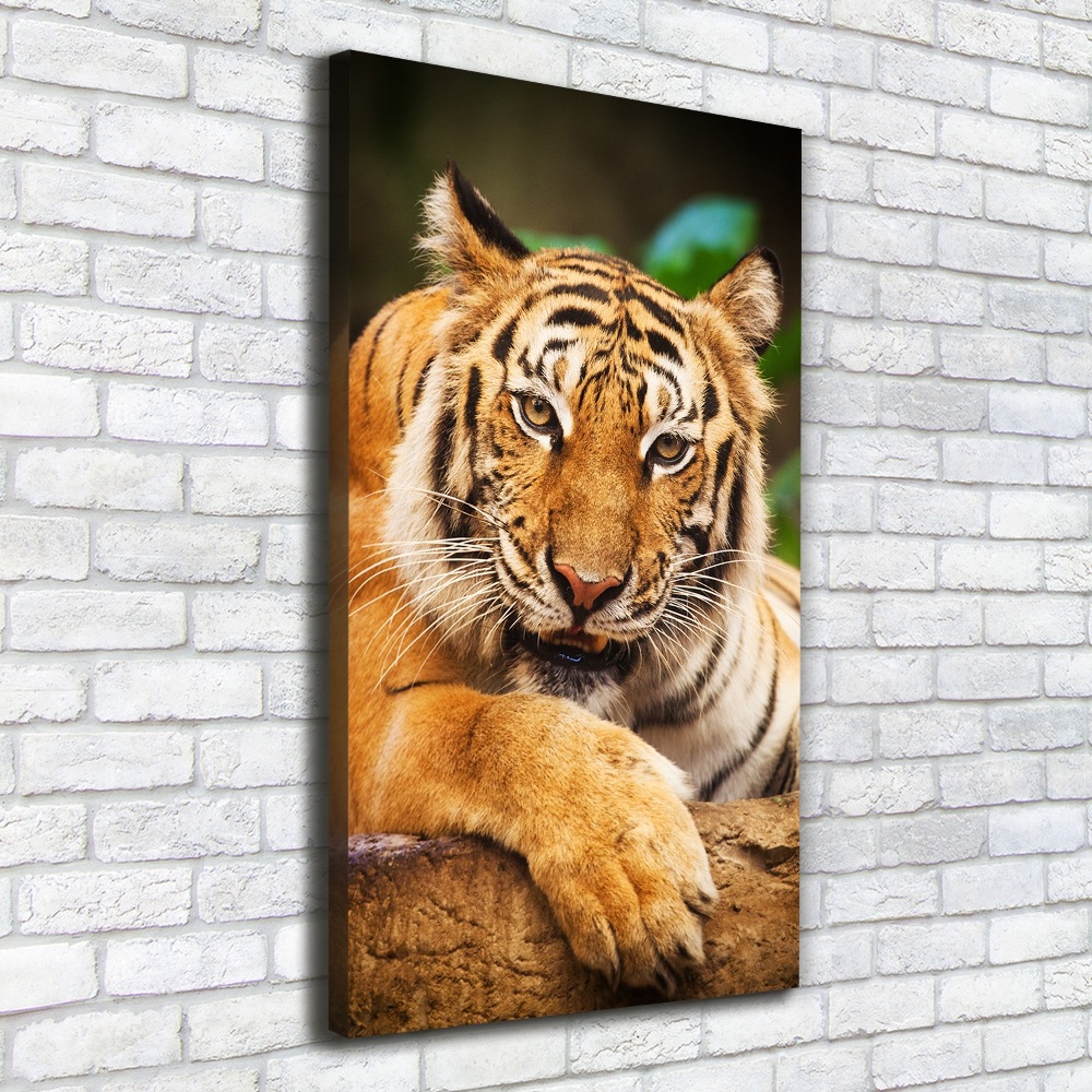 Canvas wall art Bengal tiger