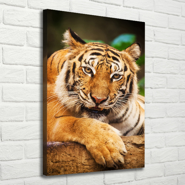 Canvas wall art Bengal tiger