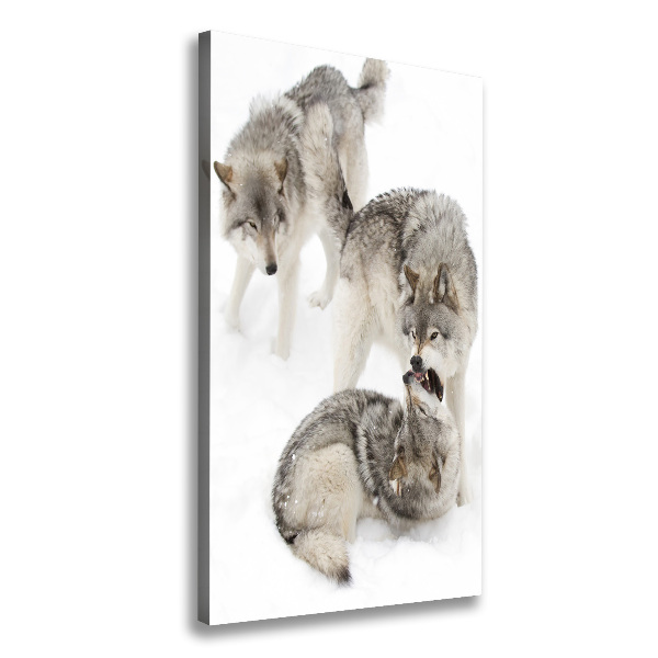 Canvas wall art Gray wolves