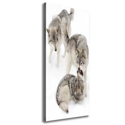 Canvas wall art Gray wolves