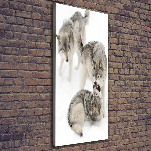 Canvas wall art Gray wolves