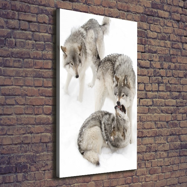 Canvas wall art Gray wolves