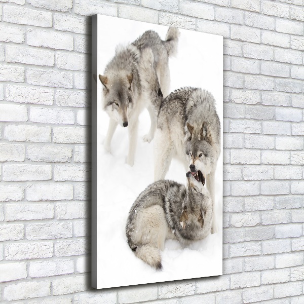 Canvas wall art Gray wolves