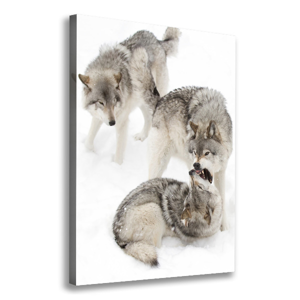 Canvas wall art Gray wolves