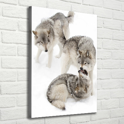 Canvas wall art Gray wolves