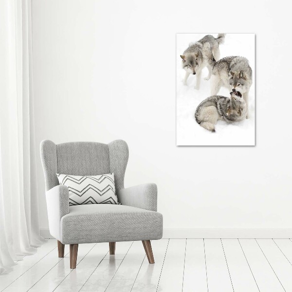 Canvas wall art Gray wolves