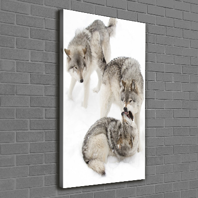 Canvas wall art Gray wolves