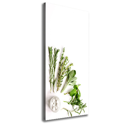 Canvas wall art Herbs