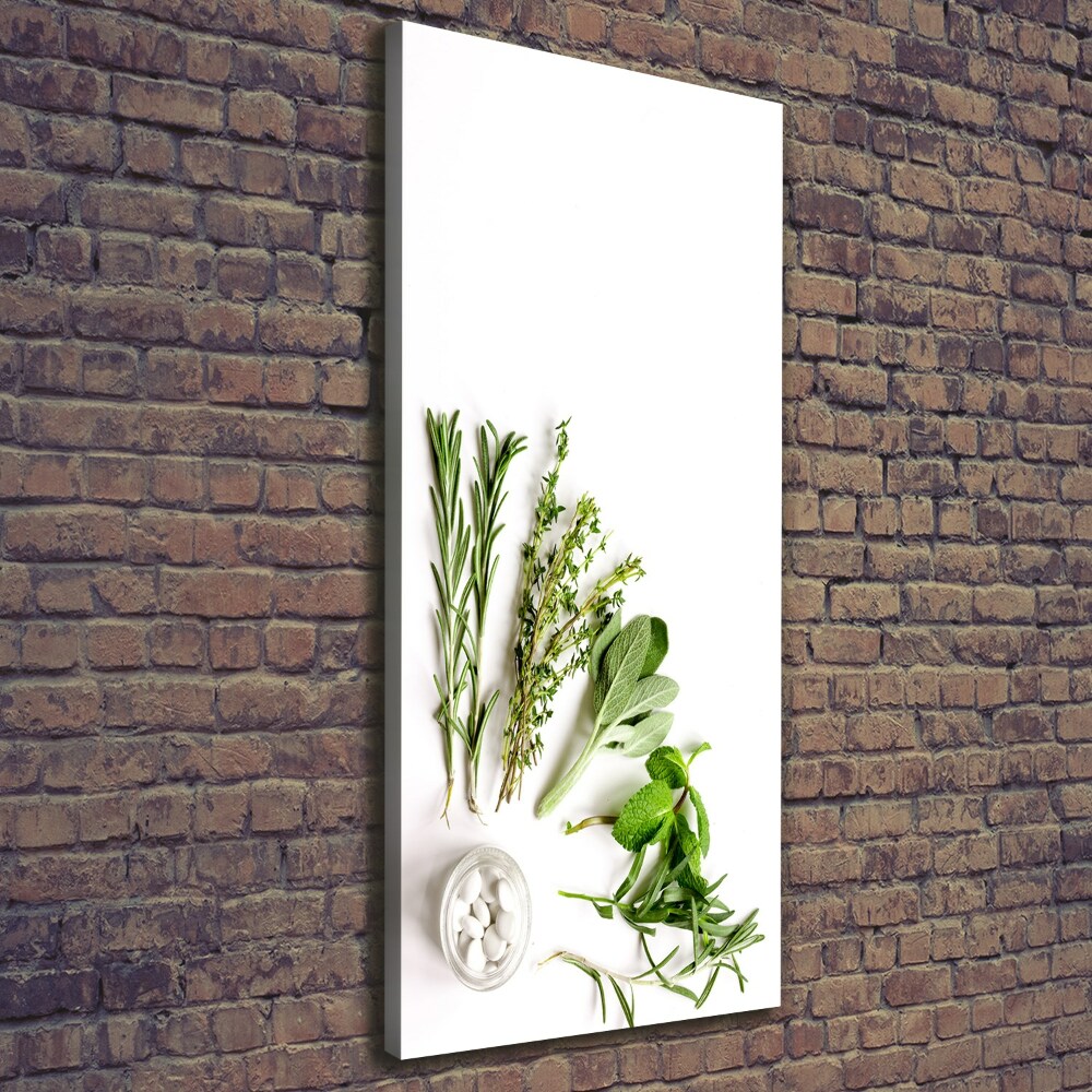 Canvas wall art Herbs