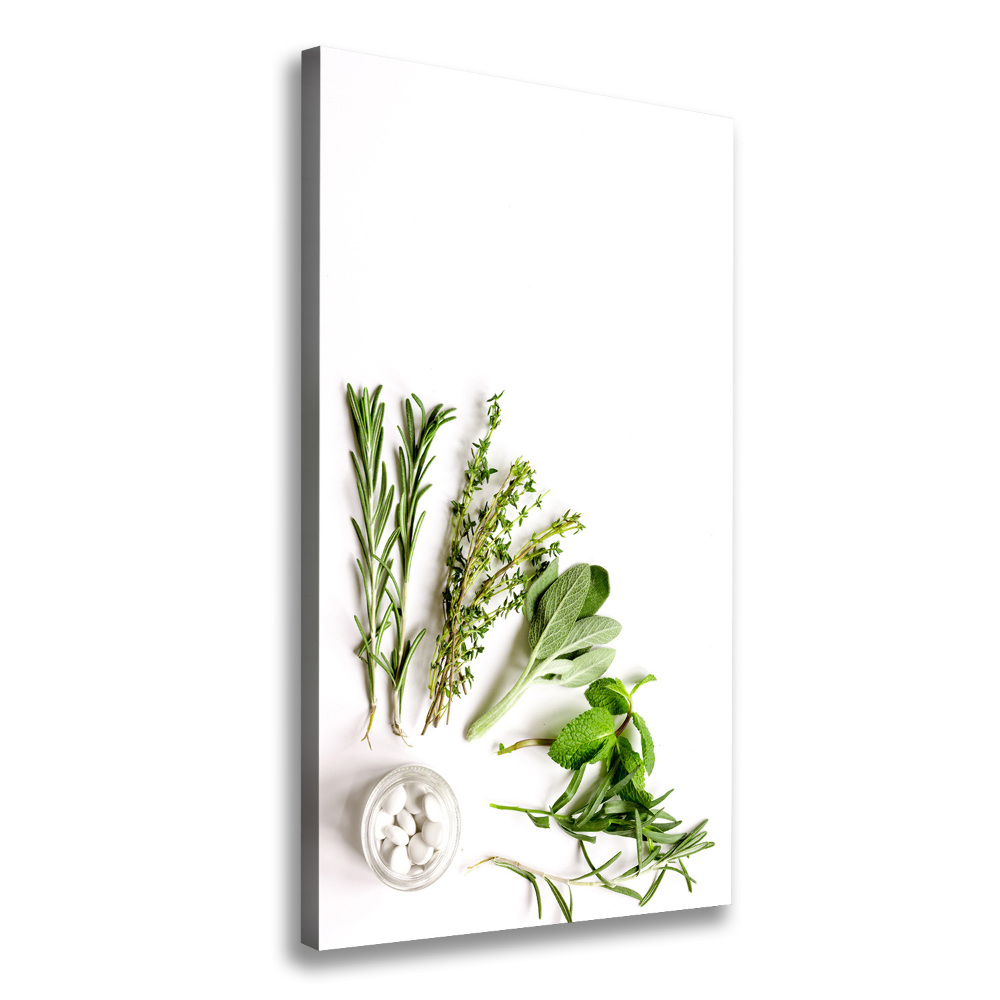 Canvas wall art Herbs